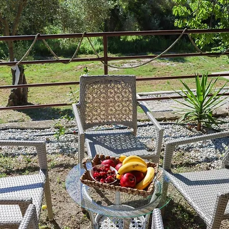 F & B Summer Collection- Skiathos -maistrali