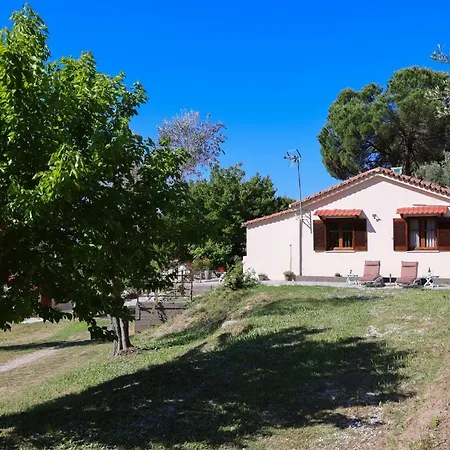 F & B Summer Collection- Skiathos -maistrali *