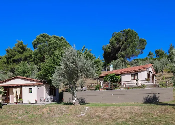 F & B Summer Collection- Skiathos -maistrali