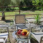F & B Summer Collection- Skiathos -maistrali