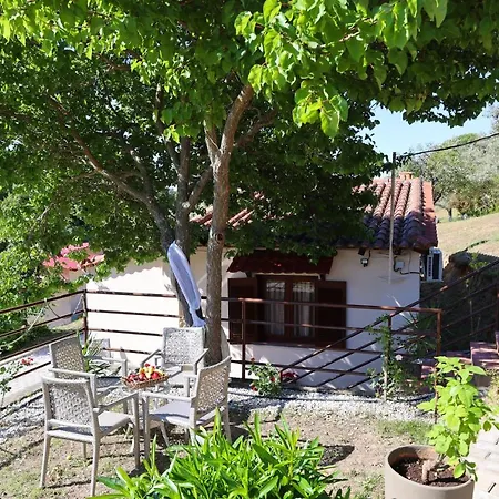 F & B Summer Collection- Skiathos -maistrali